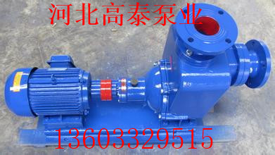 ZW50-20-12自吸清水泵 吸程高