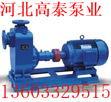 50ZX18-20無堵塞自吸泵