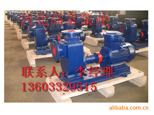 100ZX60-36工業(yè)自吸泵