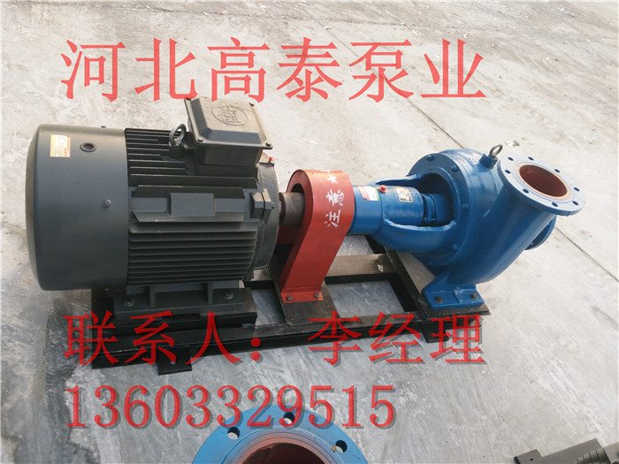 紙漿泵100LXL-Z-16兩相流紙漿泵