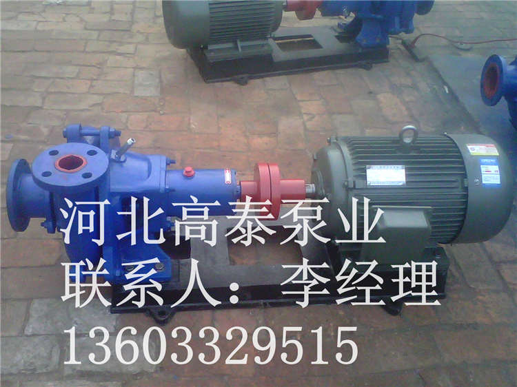 雜質(zhì)泵2PN雜質(zhì)泵