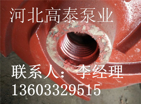 立式雜質(zhì)泵立式渣漿泵配件