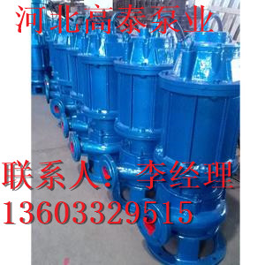 100WQ87-28-15無(wú)堵塞潛水排污泵